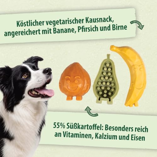 duvoplus Fruchtige Hundeleckerli Fruity Friends Vegetarisch Größe S – Ansicht 4