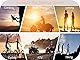 Fast passion Dirt Bike Motorradhandschuhe, Motocross-Handschuhe, Motorrad, Reiten, Fahrrad-Handschuhe, ATV MX, MTB, Offroad-Rennsport, Sport, Radhandschuh (Weiß1, M)