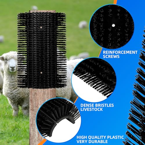 Brosse à gratter pour cheval au pré : le bien-être au quotidien