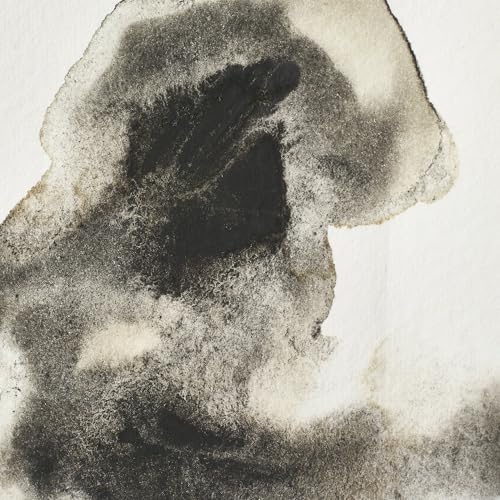 Image of Winsor & Newton Professional Watercolour 5 ml 428 Ostwald Grey Series 1