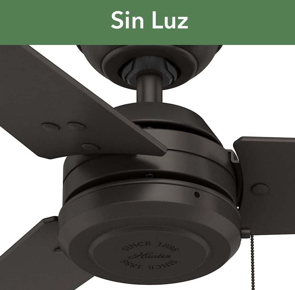 New Product Hunter Cassius Indoor / Outdoor Ceiling Fan with Pull Chain Control, 52, Premier Bronze