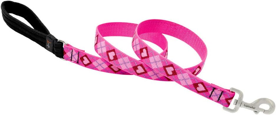 LupinePet Originals 1" Puppy Love 6-Foot Padded Handle Leash for Medium and Larger Dogs 1" wide; 6-ft long - Image 1 of 2