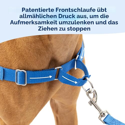 PetSafe Easy Walk Hundegeschirr.