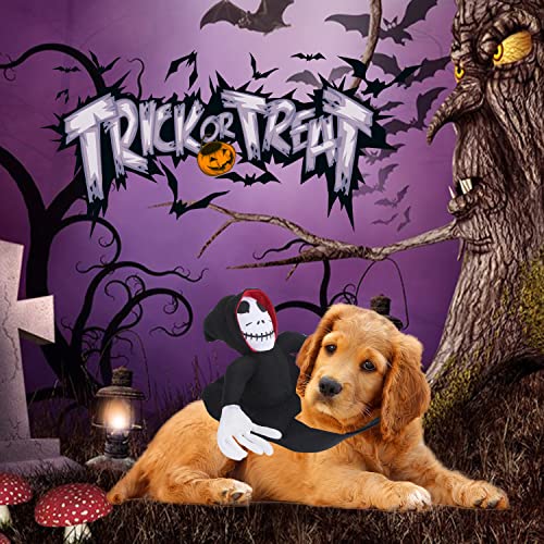 YISKY Costumi Halloween Animali Domestici, Costume...