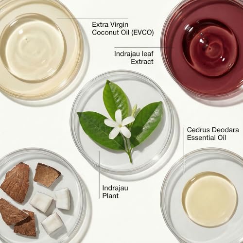Image of VEDICDERM Cream & Oleander Skin Care Oil Combo for Dry, Itchy Skin | Natural Steroid-Free Formula | Helps Soothe Irritation & Retain Moisture | 200ml Cream + 200ml Oil (Pack of 1)