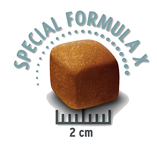 Concept for Life Hundefutter für große Hunderassen, leicht, für große Rassen, 6 kg