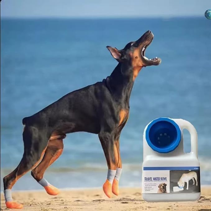 Pet Feeder Food Dispenser Station - Replenish Pet Food for Dog Cat Animal Automatic Gravity Dry Food Storage Bottle Bowl Dish Stand Rubber Automatic Pet Food Water Dispenser for Pets (3 Litter) (B0D92JCKKY) Amazon Price History, Amazon Price Tracker