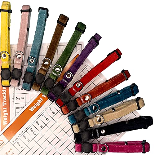 GAMUDA Puppy Collars â€“ Super Soft Velvet Whelping Puppy ID - Adjustable Breakaway Litter Collars Pups â€“ Assorted Colors Plain & Identification Collars with 2 Record Keeping Charts (12 Pcs, M)