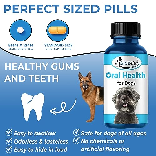 BestLife4Pets Oral Health Dental Care Supplement for Dogs – Plaque Tartar Remover Stomatitis & Gingivitis Control – Anti Inflammatory Tooth and Gums Pain Relief – Easy to Use Natural Pills (2 Pack) BestLife4Pets Oral Health Dental Care Supplement for Dogs – Plaque Tartar Remover Stomatitis & Gingivitis Control – Anti Inflammatory Tooth and Gums Pain Relief – Easy to Use Natural Pills (2 Pack)