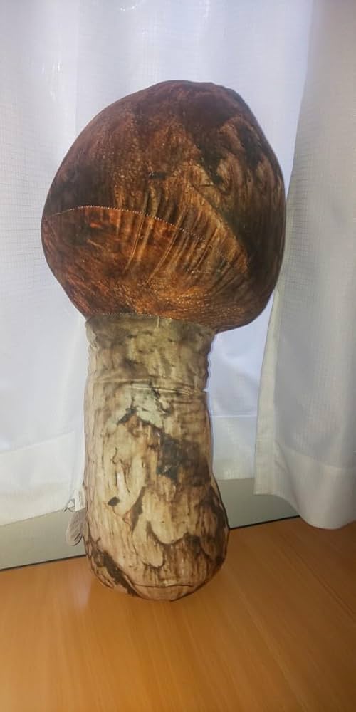 マツタケ Qoo10] =国産松茸= 約400g 大きさおまかせ