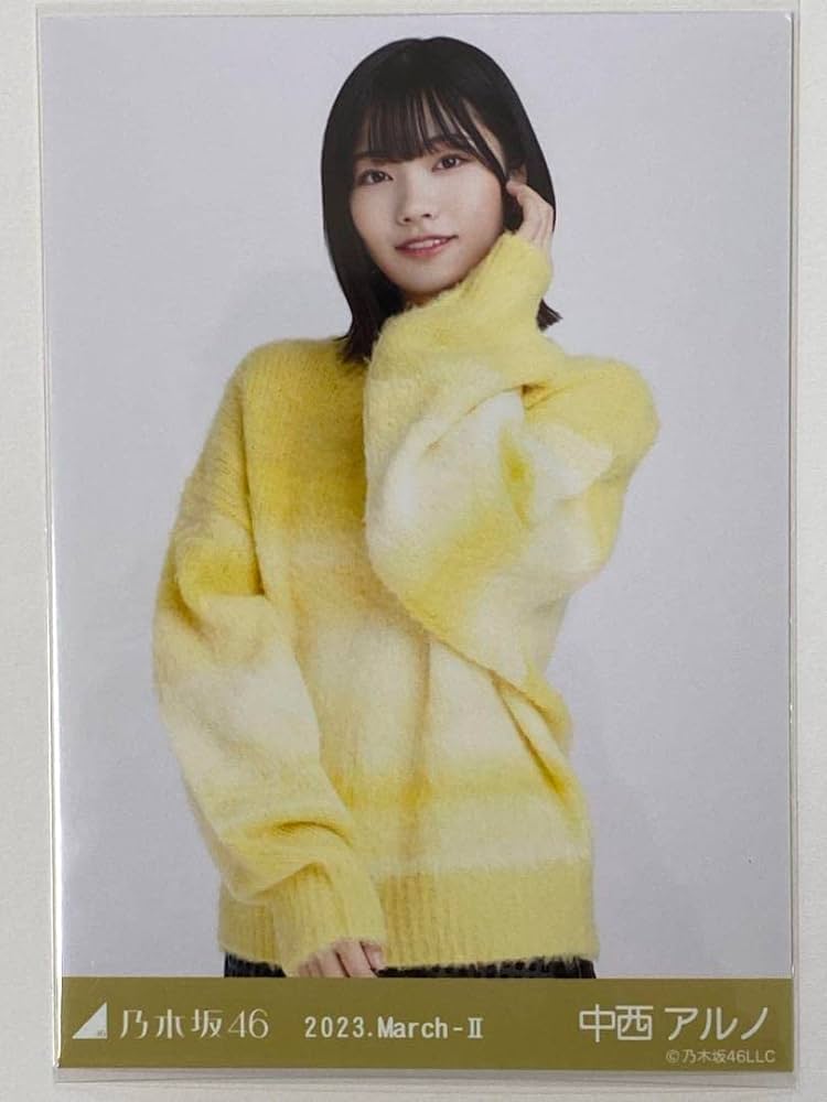 Amazon.co.jp: 乃木坂46 ランダム生写真 ファーニット ビッグ