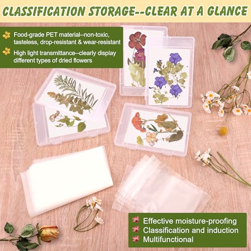 Image of Coldairsoap 5+200PCS Dried Flower Storage Set with Blotting Paper, Ziplock Bag, Tweezers and letter stickers, Flower Preservation Kit to Keep Flower Color and Dry for DIY Pressed Flower Arts and Craft