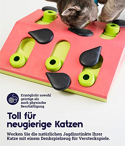 Catstages Nina Ottosson Interaktives Katzenspielzeug & Leckerli-Spender - Intelligenzspielzeug zur Selbstbeschäftigung, Fummelbrett für Katzen, langsames Fressen & Beschäftigung gegen Langeweile