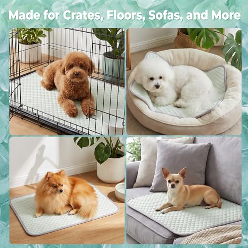 Image of PatiencET Dog Cooling Mat, 22 x 28 in No-Gel Cooling Pad for Small Dogs, Puppies and Cats, Cool Touch Pet Mat with Ice-Dot Texture, Washable Summer Crate Pad for Floor, Sofa, Car, Light Green