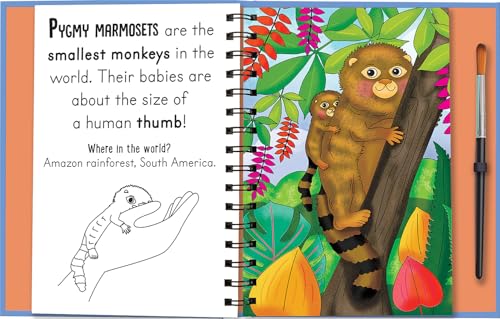 Woof and Meow - Baby Animals: Reusable, Mess-Free Activity Book for Kids Ages 3+ (Paint with Water) image 5