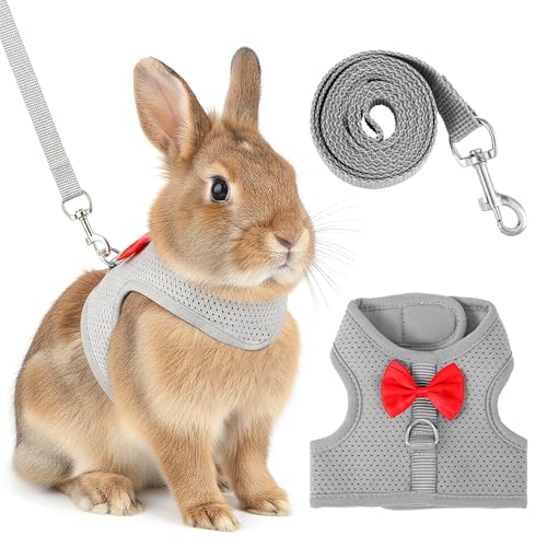 XLIUAX oj[n[lXƃ[VZbgA\tg ʋC rbg[VxXg 킢{bVt ߉\ȃxXg oj[[V EH[LOMAp Eoh~ qLAtFbgAbgp(O[ M)