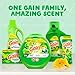 Gain Liquid Laundry Detergent, Original Scent, 194 fl oz, 134 loads, Freshness + Odor Fighting, Laundry Detergent Liquid Soap, HE compatible