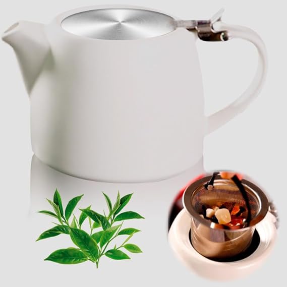Vegena Ceramic Teapot, 500ml Porcelain Teapot, Teapot with Infuser