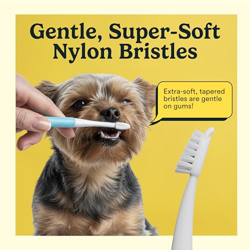 Image of Jasper Microbrush Vet Approved Cat Toothbrush, Soft-Bristled Toothbrush Kit for Felines & Small Dogs, Non-Slip Handle with 2 Replaceable Tooth Brush Heads, Use with Cat Toothpaste, 2-Pack, Rose Pink
