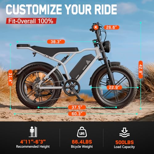 Image of TST Electric Bike - 48V 15Ah Battery, 1500W Peak Motor, 20 * 4.0 Fat Tire | Dual Suspension | 7-Speed Gears | 3 Working Modes | LCD Display | Powerful | Suitable for Commuters & Beginner Cyclists