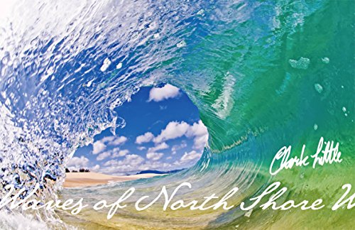 無料電子書籍 おすすめ Waves of North Shore バイ