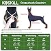 KOSKILL LED Hundegeschirr Wiederaufladbares Beleuchtetes Hundegeschirr Leuchtet Im Dunkeln LED Hundeweste Reflektierend Hundelichter für Nachtspaziergänge Grün L