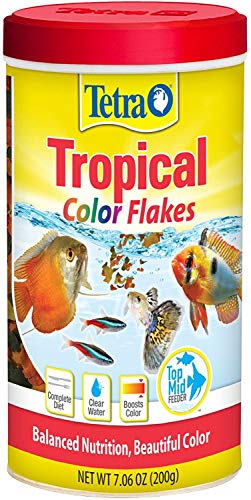 TetraColor Tropical Flakes with Natural Color Enhancer