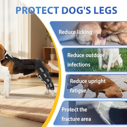 Image of Double Dog Knee Brace for Torn Acl Hind Leg, Double Dog Leg Sleeve, Acl Brace for Dogs Rear Leg for Support, Built-In Hard Metal Spring Support, Outer Night Reflective Strip, Adjustable Strap (Medium)