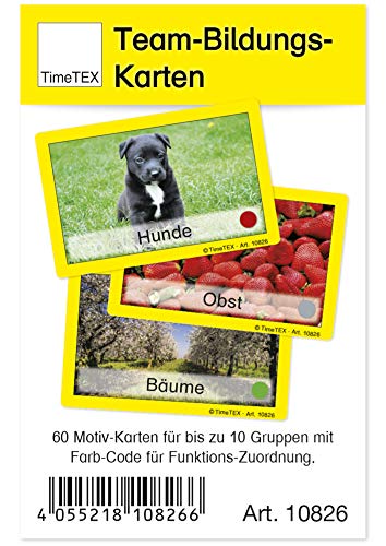 TimeTEX - TimeTEX Teamkarten - 60-teilig im Etui - Bildungskarten für Grundschulen - Blumen, Hunde, Obst uvm. - Farb-Code für Gruppenfunktionen - Bildungsfördernd und farbenfroh - -22%