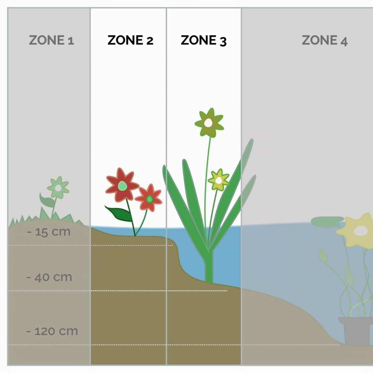 Bloomique - Set de 6 - Plantas de estanque favorables a insectos - Zona de estanque 1-2 - Acuáticas - Resistente al frío - Altura 15-25 cm - Maceta 9 cm