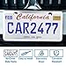 lengnoyp Solid Silver License Plate Frames 2 Pack, 2 Holes Rust-Proof License Plate Holder, Universal Car Stainless Steel License Plate Frame for Women & Man (Screws & Chrome Caps) by Lengnoyp