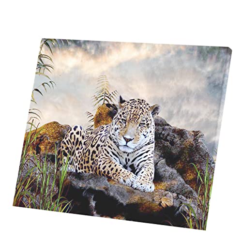 Tableau déco toile imprimée jaguar d'Amérique du Sud 71x60 cm