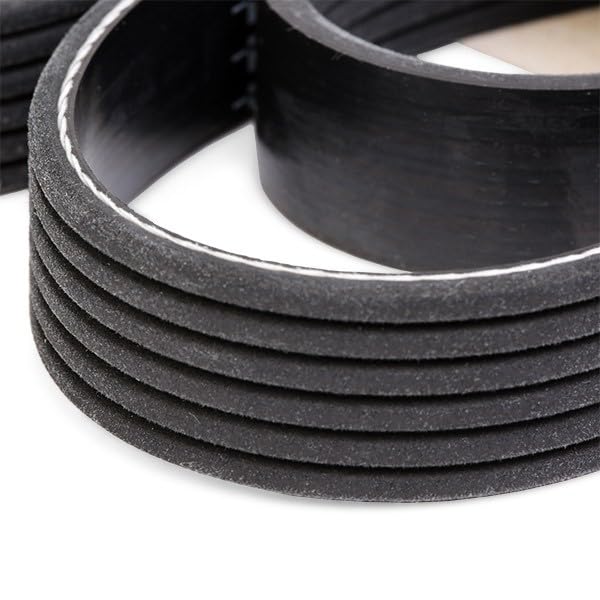 DAYCO Cinghia Poly-V 6PK1936 – Sostituto Per Ford Escort E Fiesta, Perfetto Per Motori Con Accessori, Materiale Di Alta Qualità