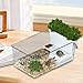 Bothyi Small Turtle Tank Turtle Aquarium Decorative Multi Use Terrapin Breeding Box Reptile Habitat for Crabs Crayfish, White
