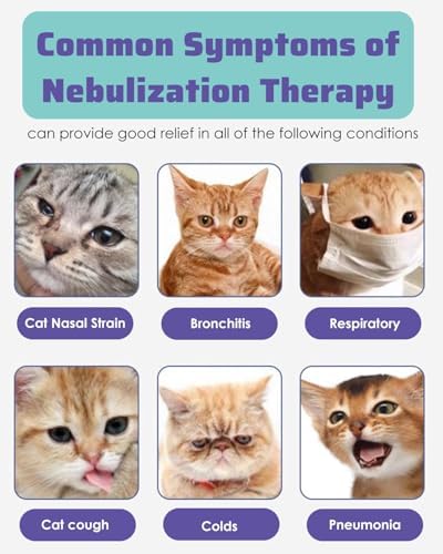 Oxygen Therapy Box for Pets - Foldable Inhalation Atomization Nest for Small Animals, ICU Cage for Dogs, Cats, Hamsters - Cough & Breathing Treatment (22L)