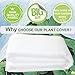 Plant Covers Freeze Protection 10 ft x 30 ft Floating Row Cover 0.9oz/yd² Garden Fabric Plant Cover for Winter Frost/Sun Pest Protection (10FT X 30FT)