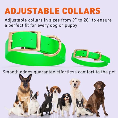 Image of Viper Biothane Heavy Duty Waterproof Dog Collar Strong Coated Nylon Webbing w /Solid Brass Hardware Odor-Proof Easy to Clean High Performance Fits Small Medium or Large Dogs, Tropical Green