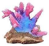 ▶ Die voraussichtliche Lieferzeit beträgt 8-15 Tage.