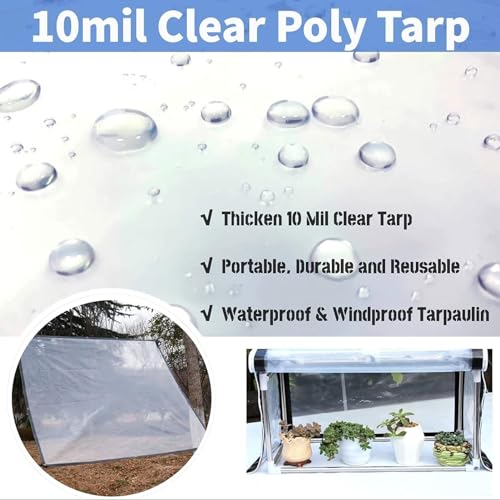 Lonas transparentes impermeables para aislar el porche de la lluvia 5