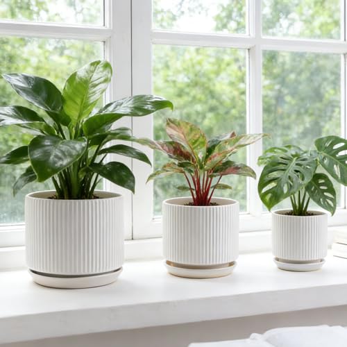 Pots de fleurs en céramique à rayures verticales blanches et soucoupe - 6