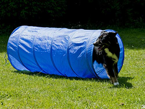 NATIV Tunnel für Hundetraining, Agility Training für Hunde, Hundesport