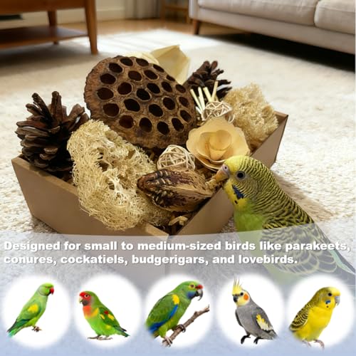 Bird Toys - Lotus Pod Foraging Box, 10 Natural Ingredients | Chewing and Shredding Parrot Toys | Ideal for Parakeets/Cockatiels/Conures/Lovebirds and Small to Medium Birds - Image 4