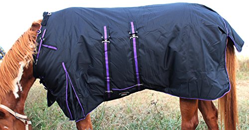 Image of Challenger 1200D Turnout Waterproof Horse Heavy Winter Blanket w /Bellyband Purple 565B