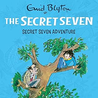 Secret Seven Adventure cover art