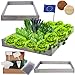 MODO24 Hochbeet Holz, Kräuterbeet, Gartenbeet, Pflanzbeet, Blumenbeet, Stufenbeet, für Garten und Terrasse, Kiefernholz, Massivholz, höhenverstellbar, Abmessungen 9x90x120 cm, Farbe: Grau