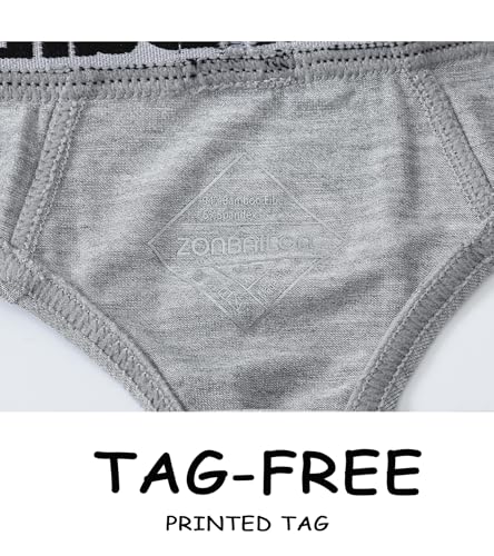 ZONBAILON Men’s Thong Sexy Bamboo Viscose G String Thongs Briefs Male Bulge Pouch T-Back Underwear Multi Pack M L XL XXL 3XL3