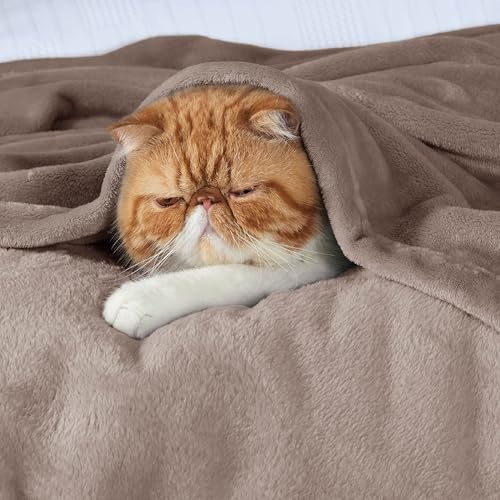 Image of Bedsure GentleSoft Fleece Bed Blankets Queen Size Mocha Brown - Soft Lightweight Plush Fuzzy Cozy Luxury Blanket Microfiber, 90x90 inches