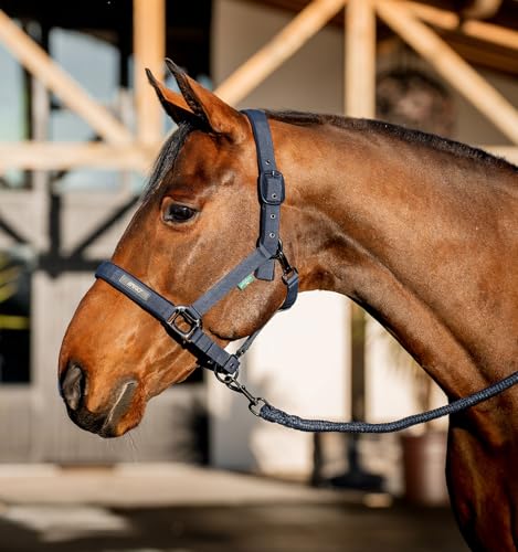 Licol et longe Horseware Amigo avec bouclerie réglable et sangle douce