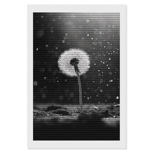 Kit broderie diamant adultes ELUZZIZUT Pissenlit Noir et Blanc | Activité DIY détente salon
