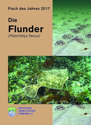 Die Flunder (Platichthys flesus): Fisch des Jahres 2017